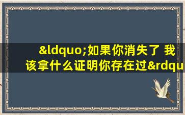 “如果你消失了 我该拿什么证明你存在过”